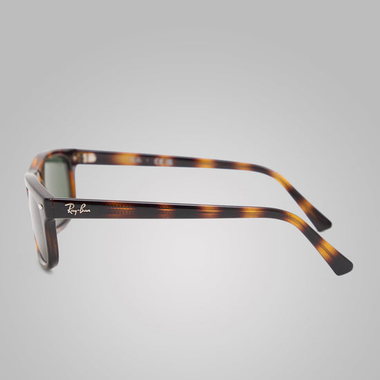 RB2224 Sunglasses