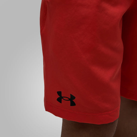 Boys’ UA Tech Woven Shorts