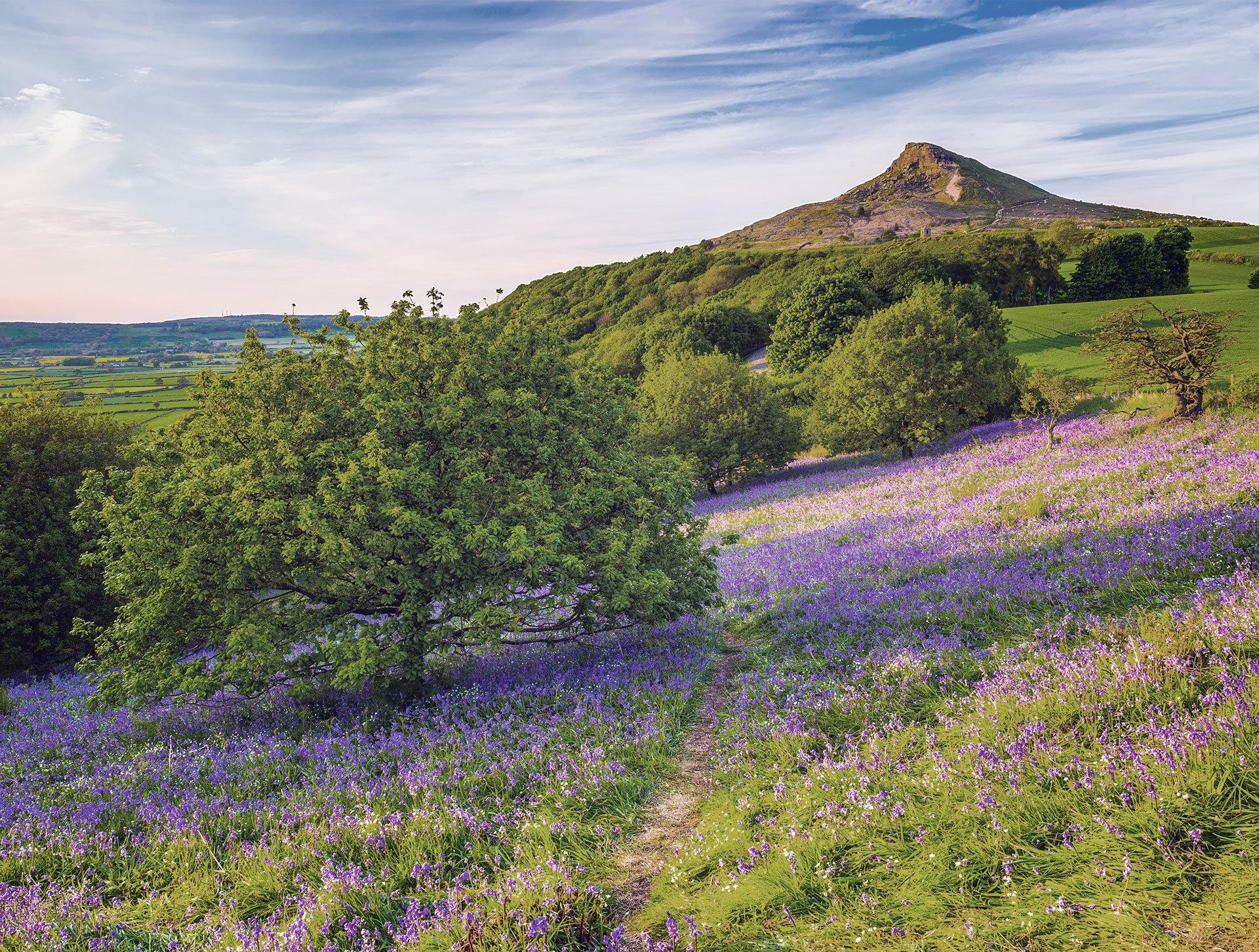 National Walking Month | Our Top 10 Walks in the U.K.