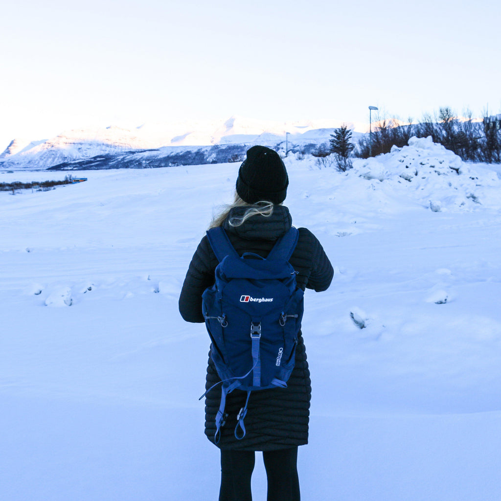 Arrow 30L Backpack