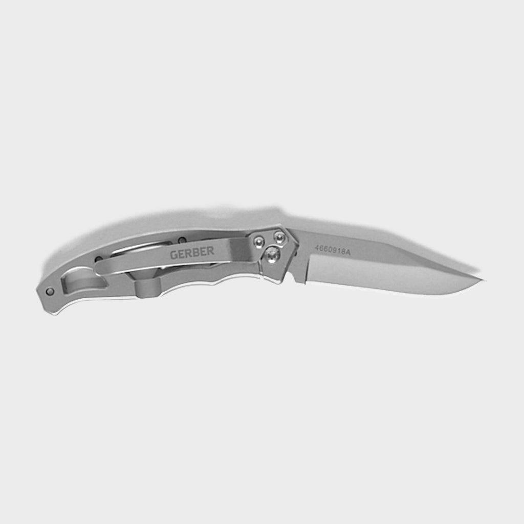 Paraframe Mini Clip Folding Knife