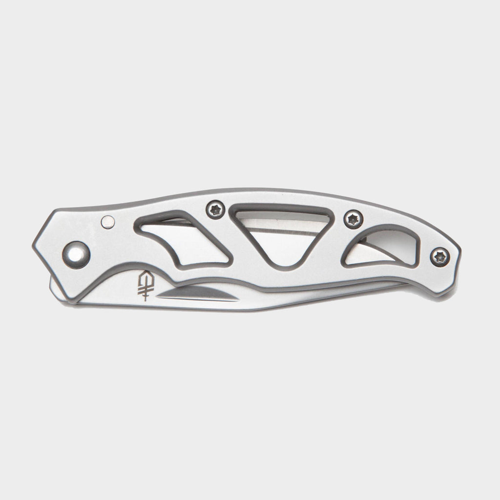 Paraframe Mini Clip Folding Knife