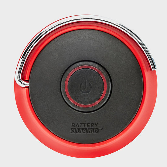 BatteryGuard 200L Lantern