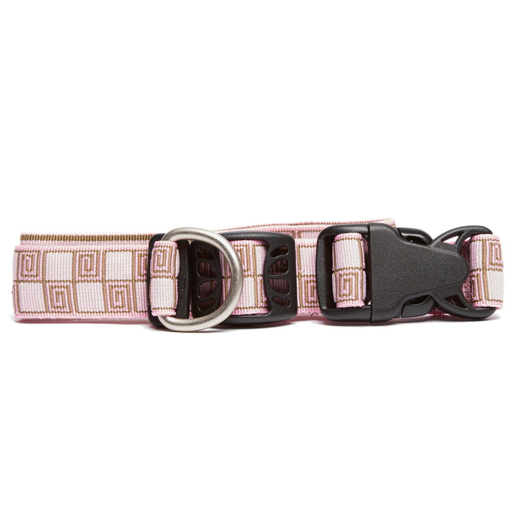 Dickie Bow Collar - Large