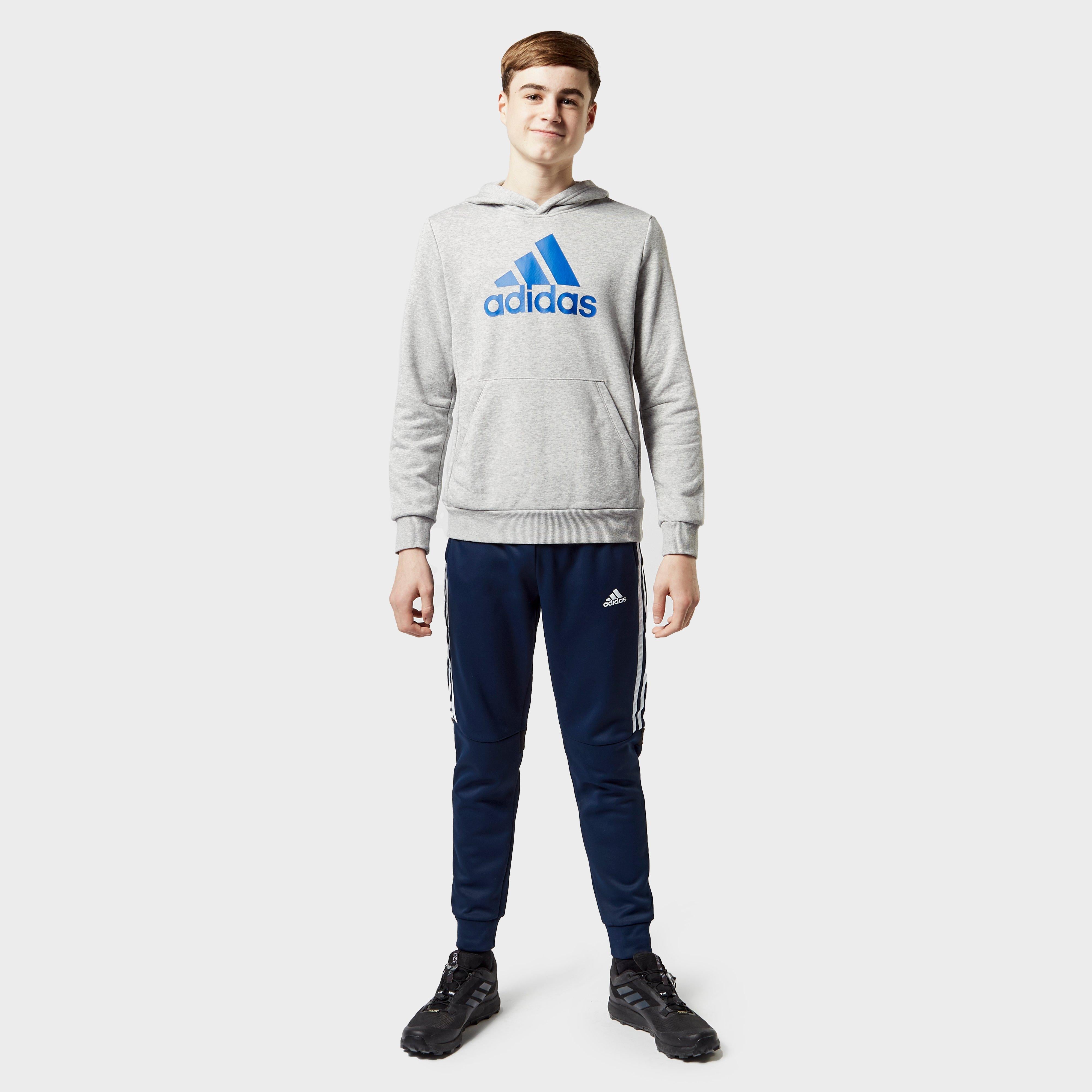 Kids' Must Have Badge Of Sport Hoodie