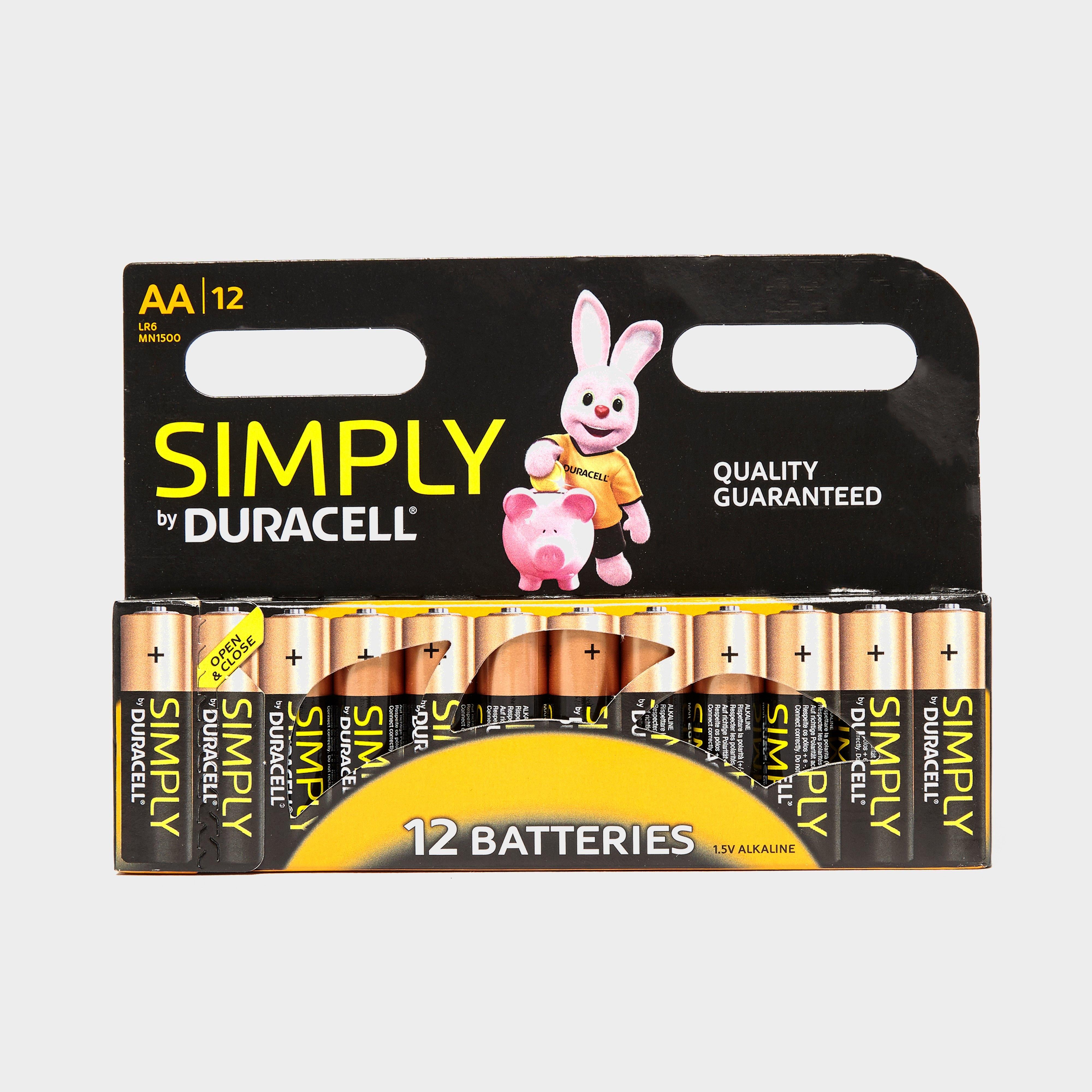 AA Batteries 12 Pack