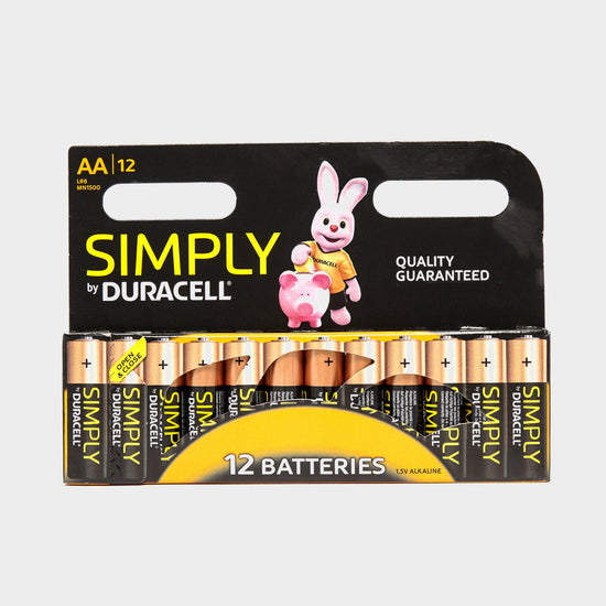 AA Batteries 12 Pack