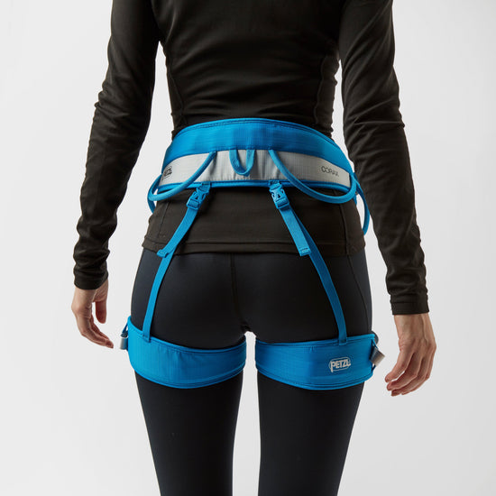 Corax Harness