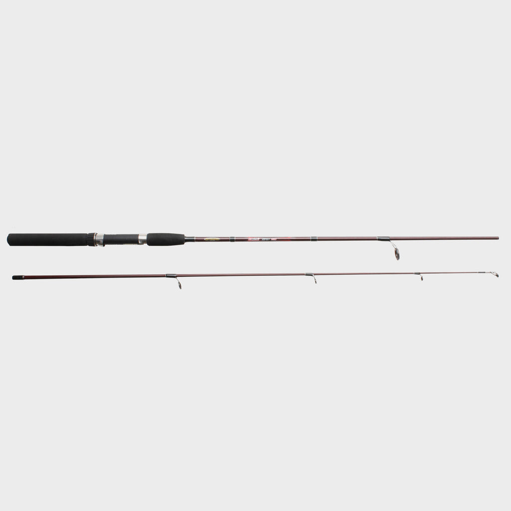 EPV2 Spin Rod, 10ft, 30-80g