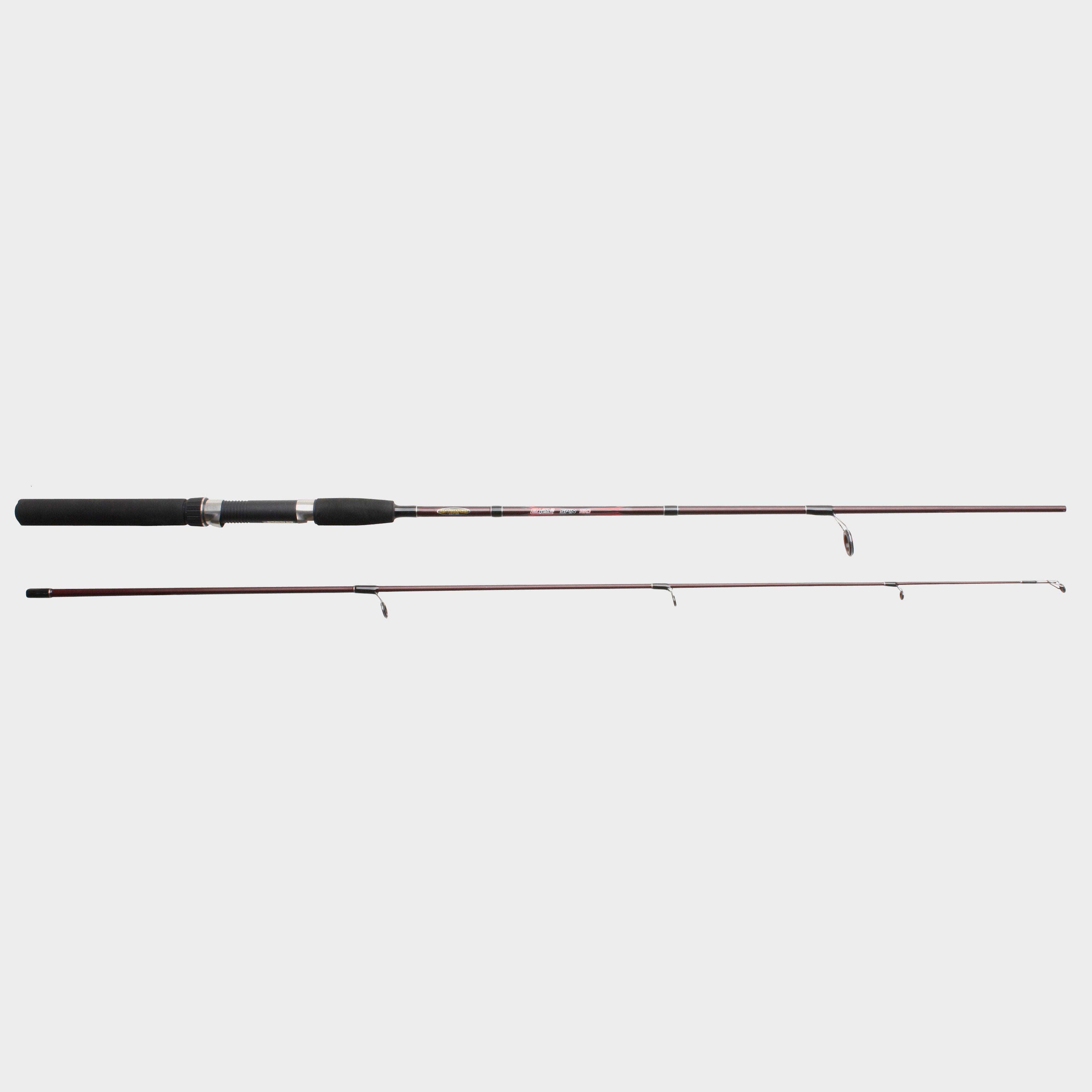 EPV2 Spin Rod, 10ft, 30-80g
