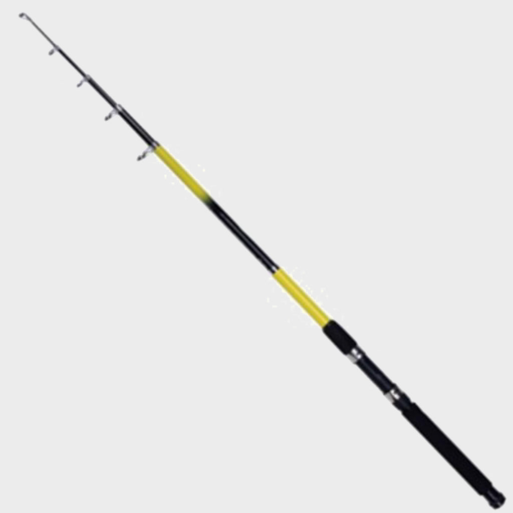 Beta Telescopic Rod (8ft)