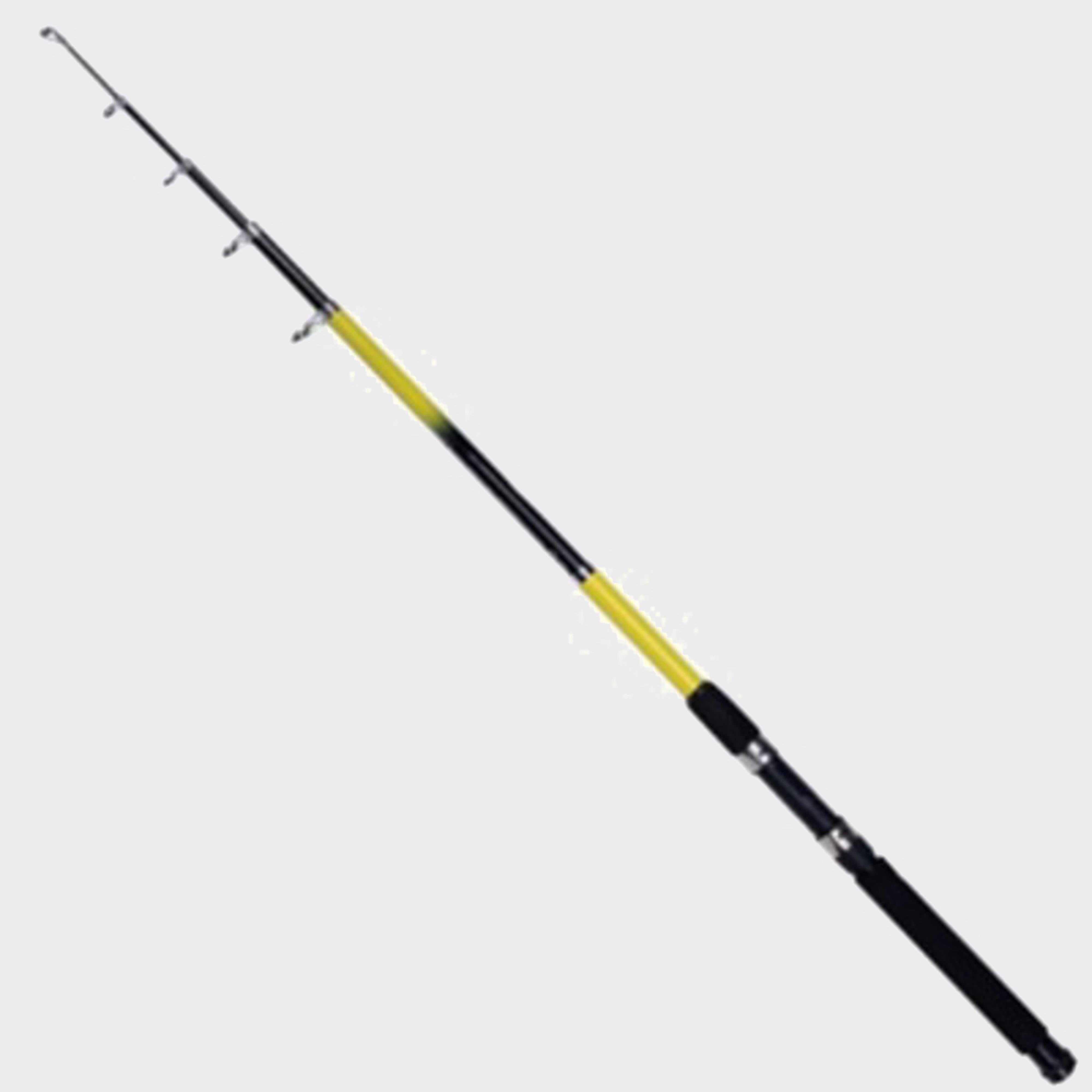 Beta Telescopic Rod (8ft)