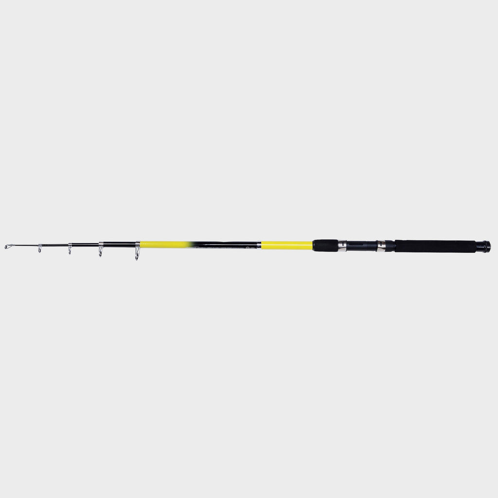 Beta Telescopic Rod (8ft)