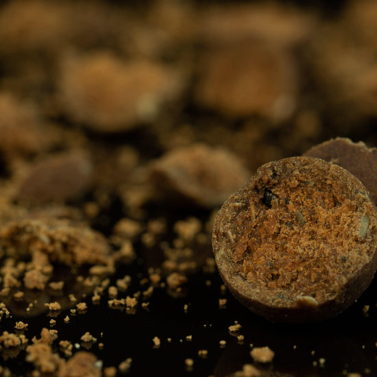 Bloodworm Shelf Life 16mm 1k