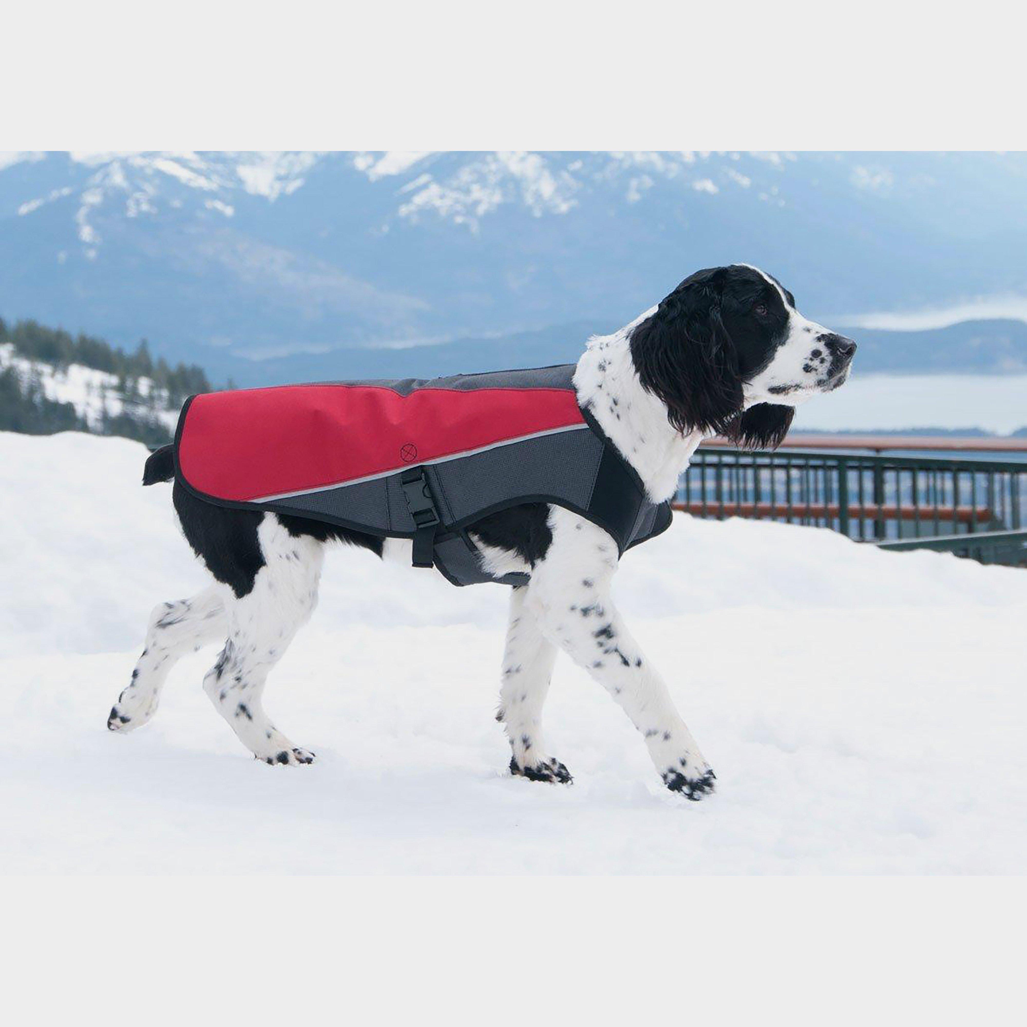 Element Dog Jacket (XS)