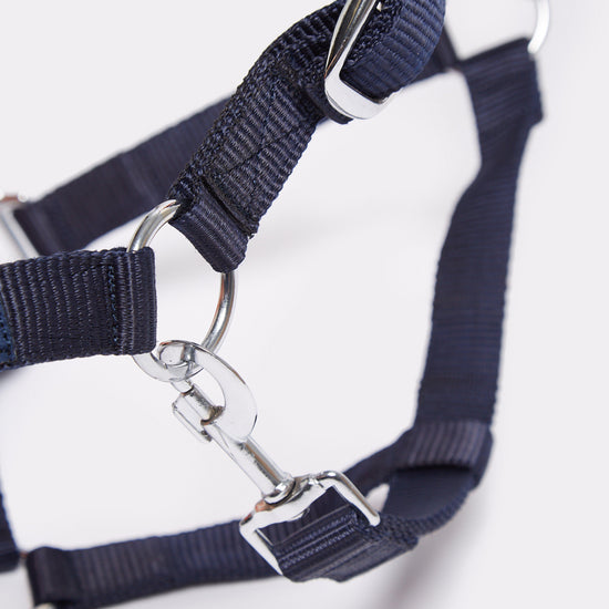 Headcollar
