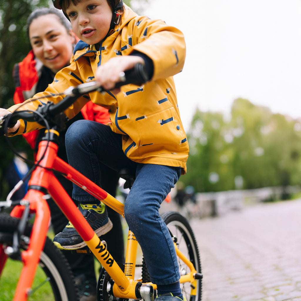 Wild 18 Kids' Bike