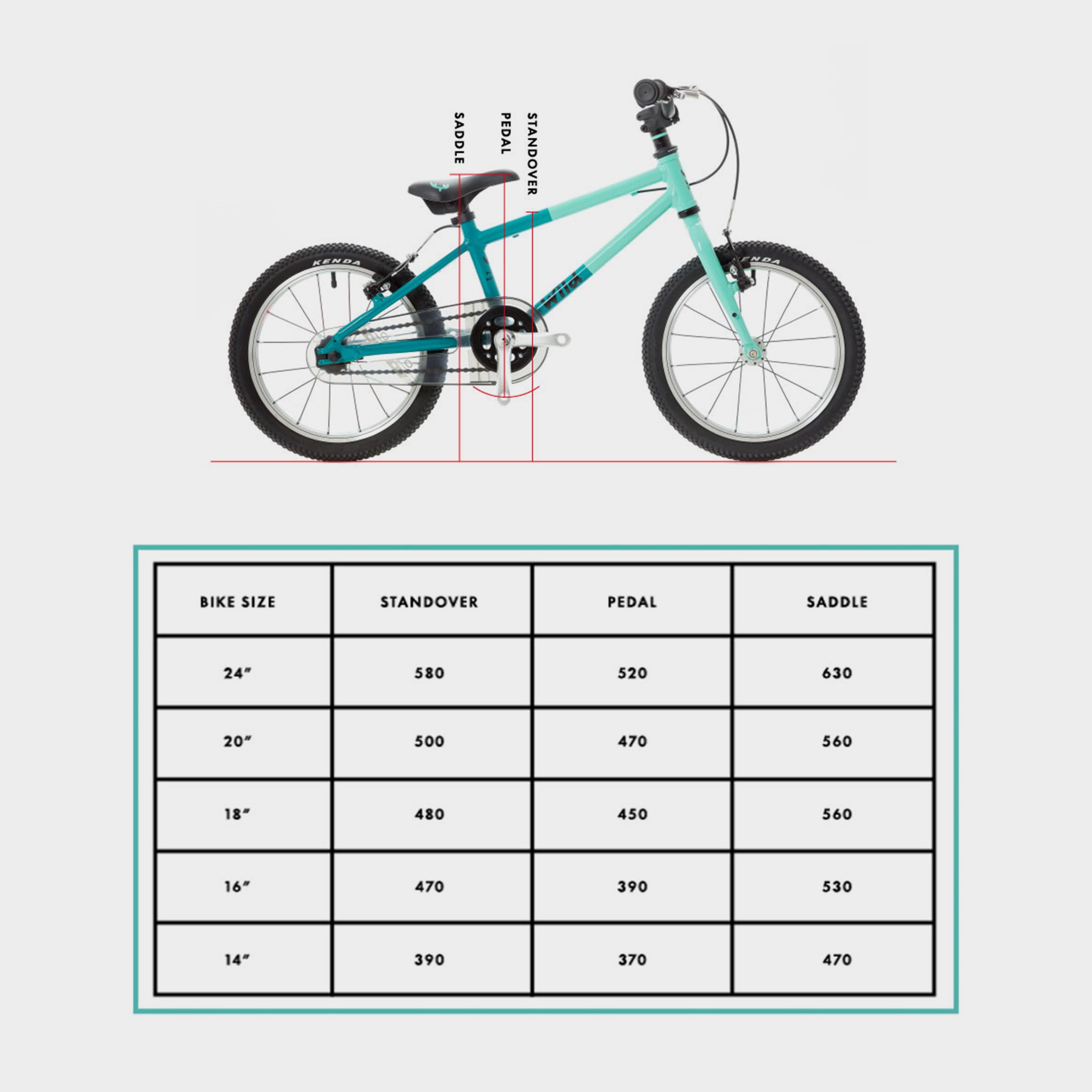Wild 18 Kids' Bike