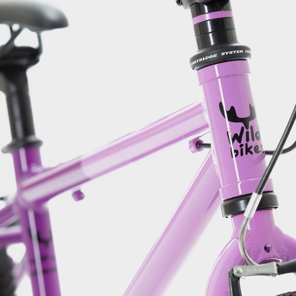 Wild 18 Kids' Bike