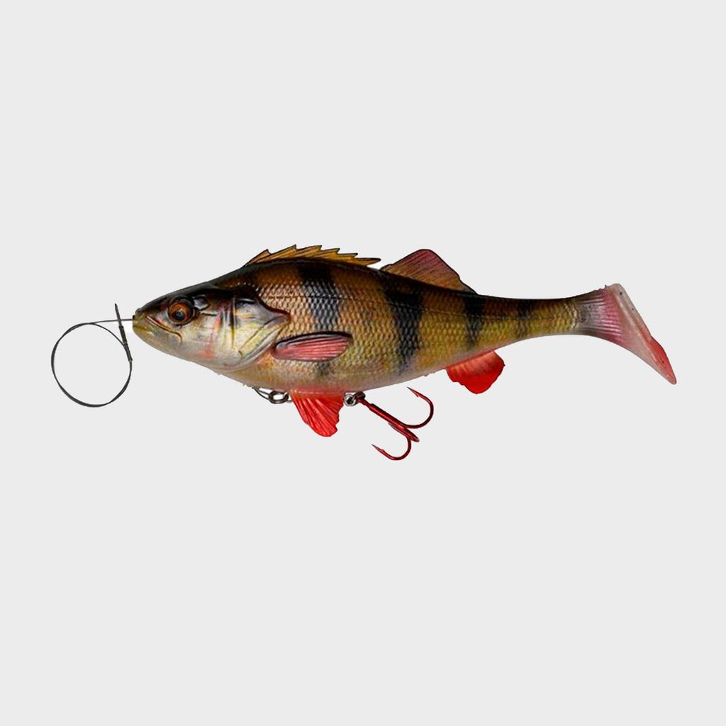 4D Perch Shad 212.5cm 25g