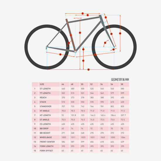 Rove NRB Bike