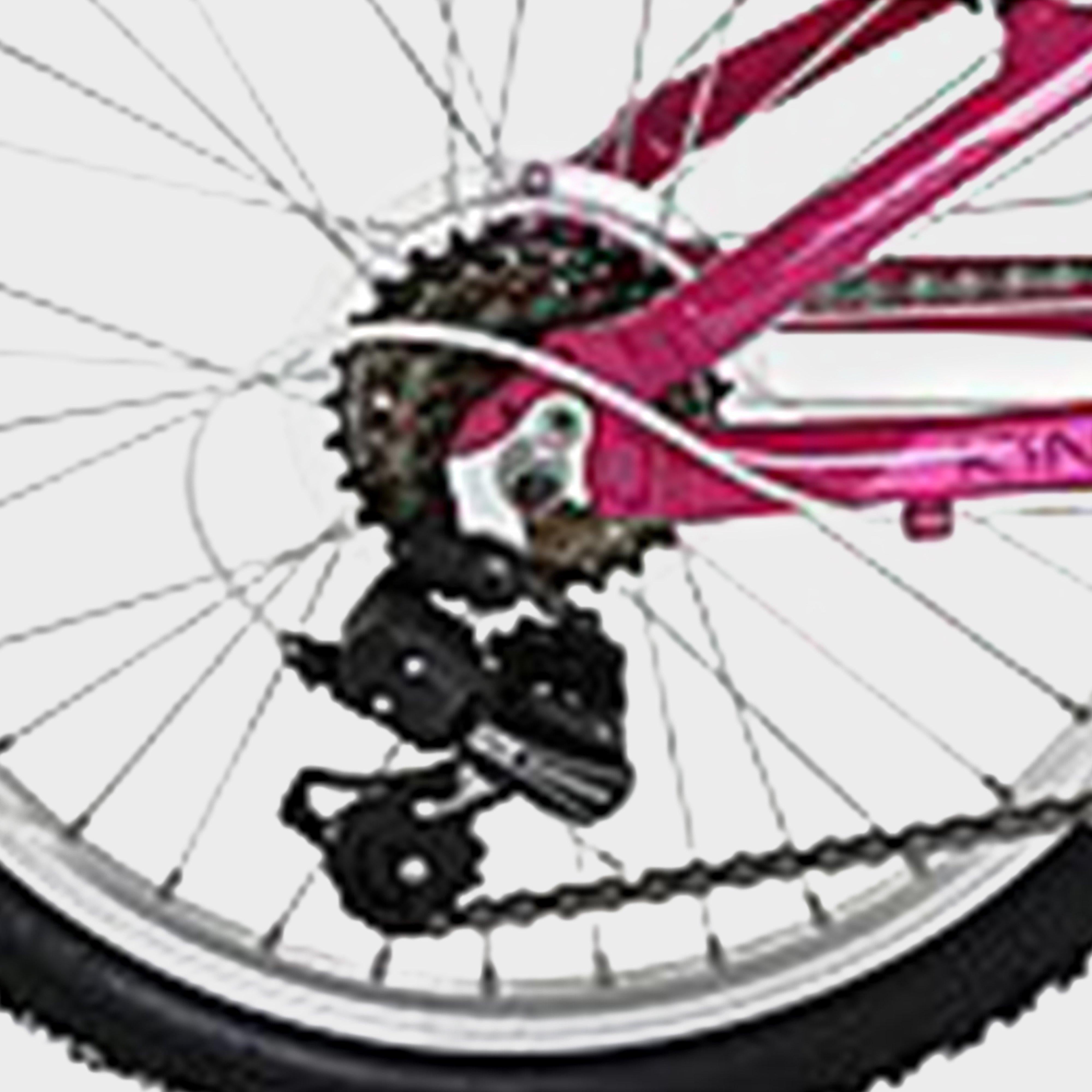 Kinetic 20" Kids' Mountain Bike