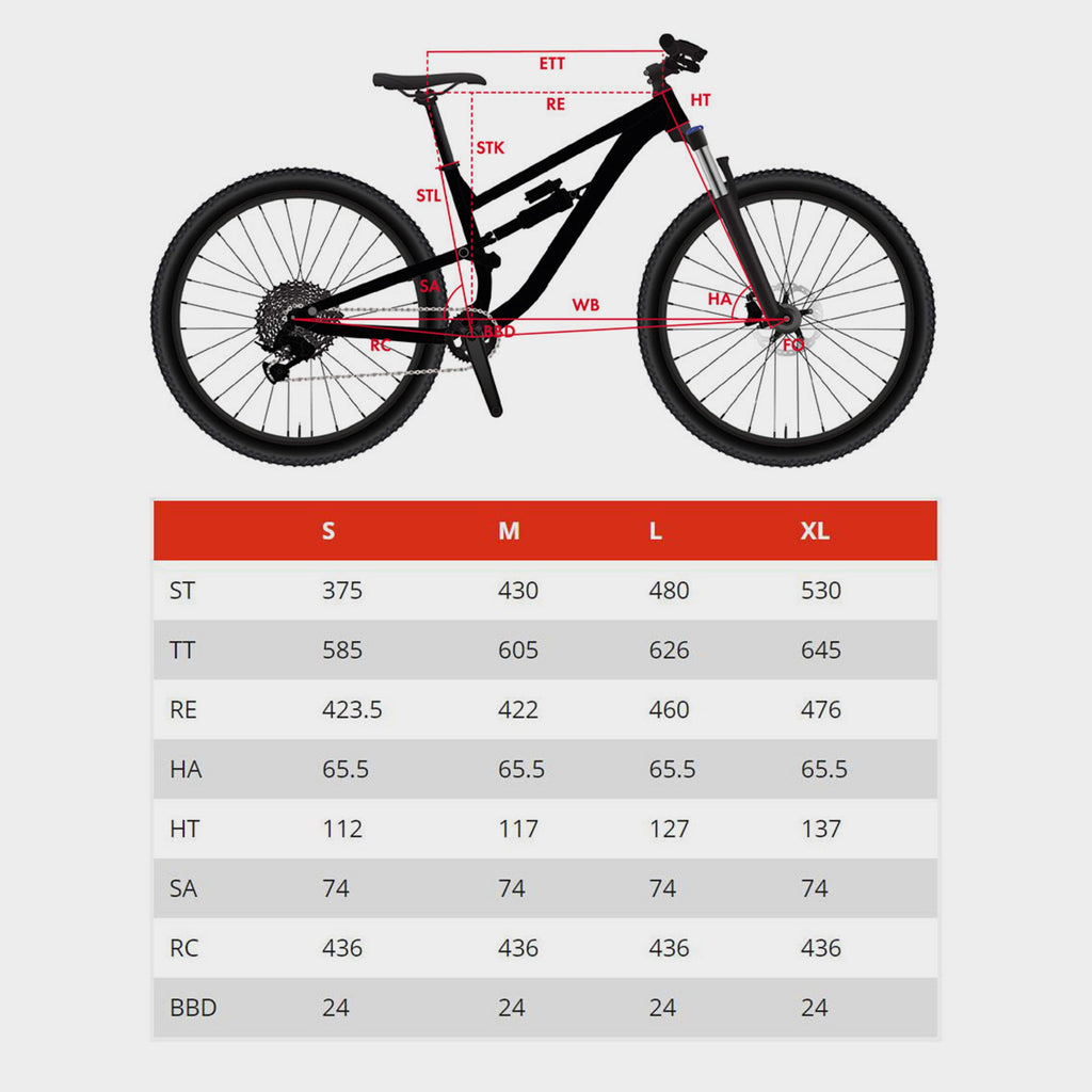 Triple B Mountain Bike