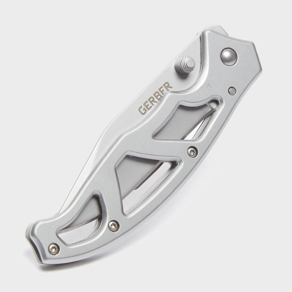 Paraframe Mini SS Knife