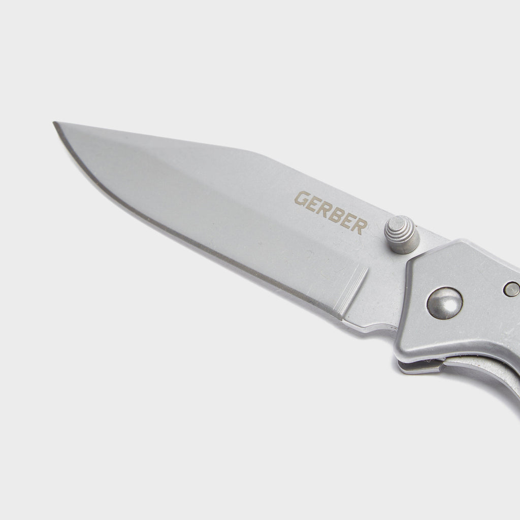 Paraframe Mini SS Knife