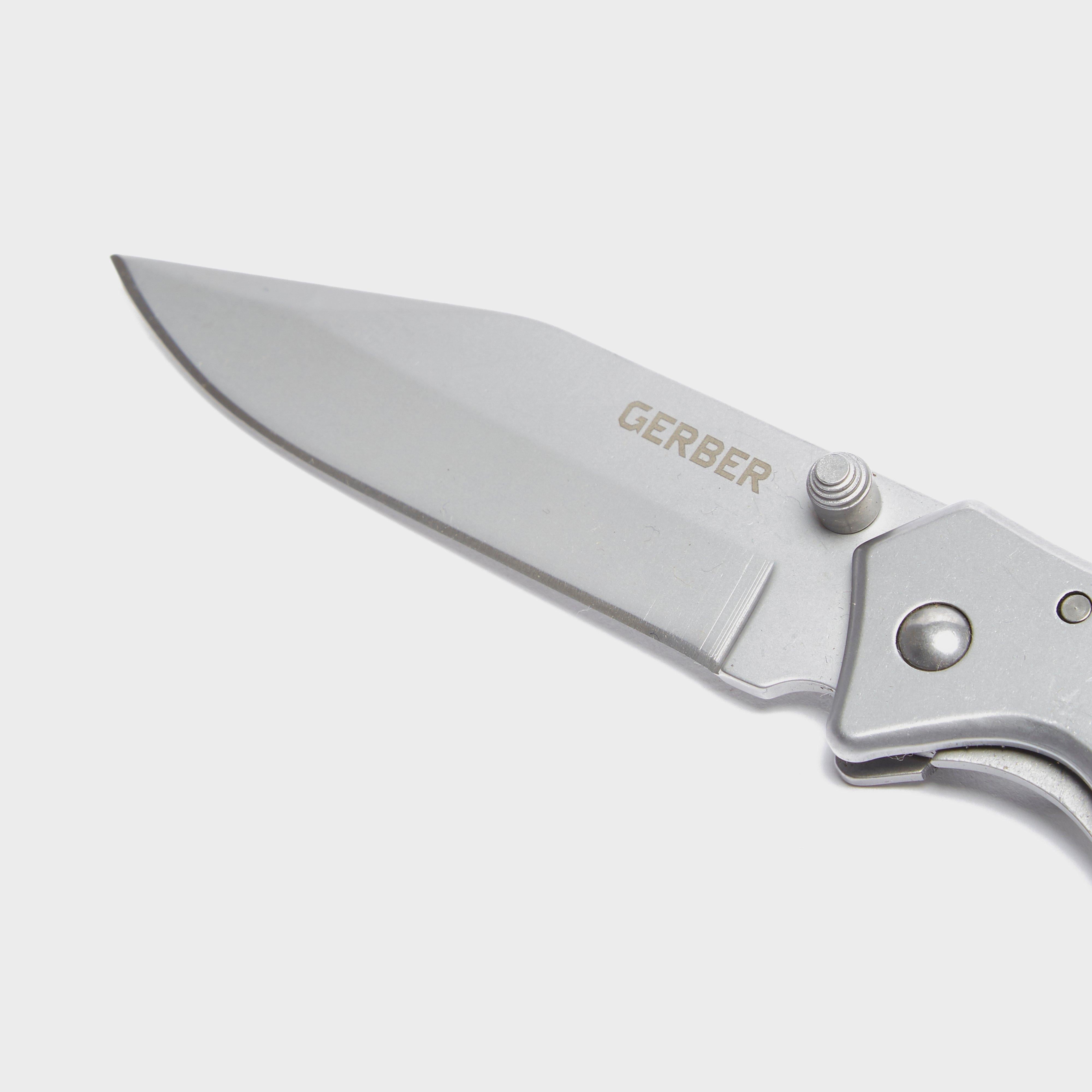 Paraframe Mini SS Knife