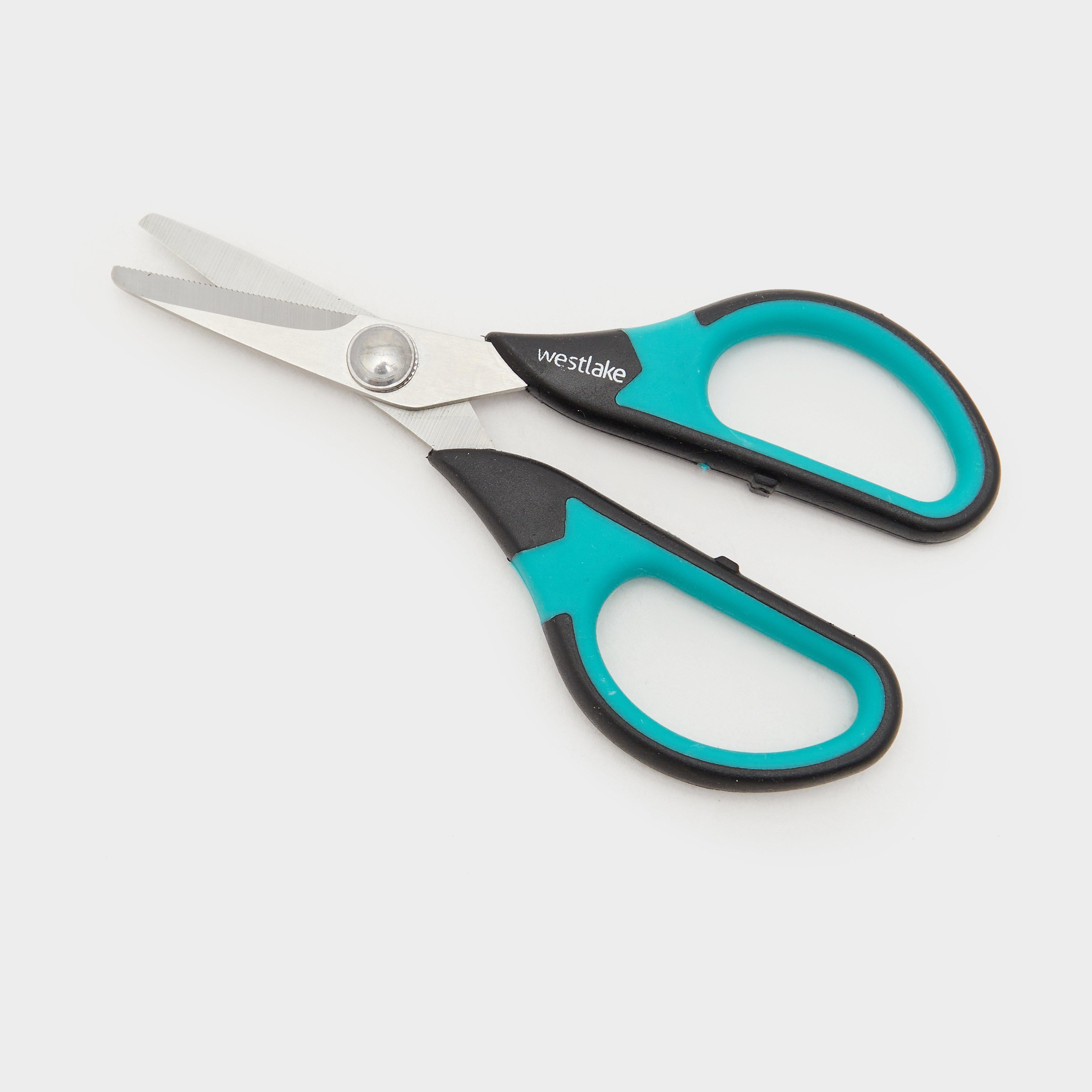 Braid Scissors Carp
