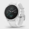 Fenix 6S Multi Sport GPS Watch