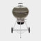 Master-Touch GBS E-5750 Charcoal Barbecue