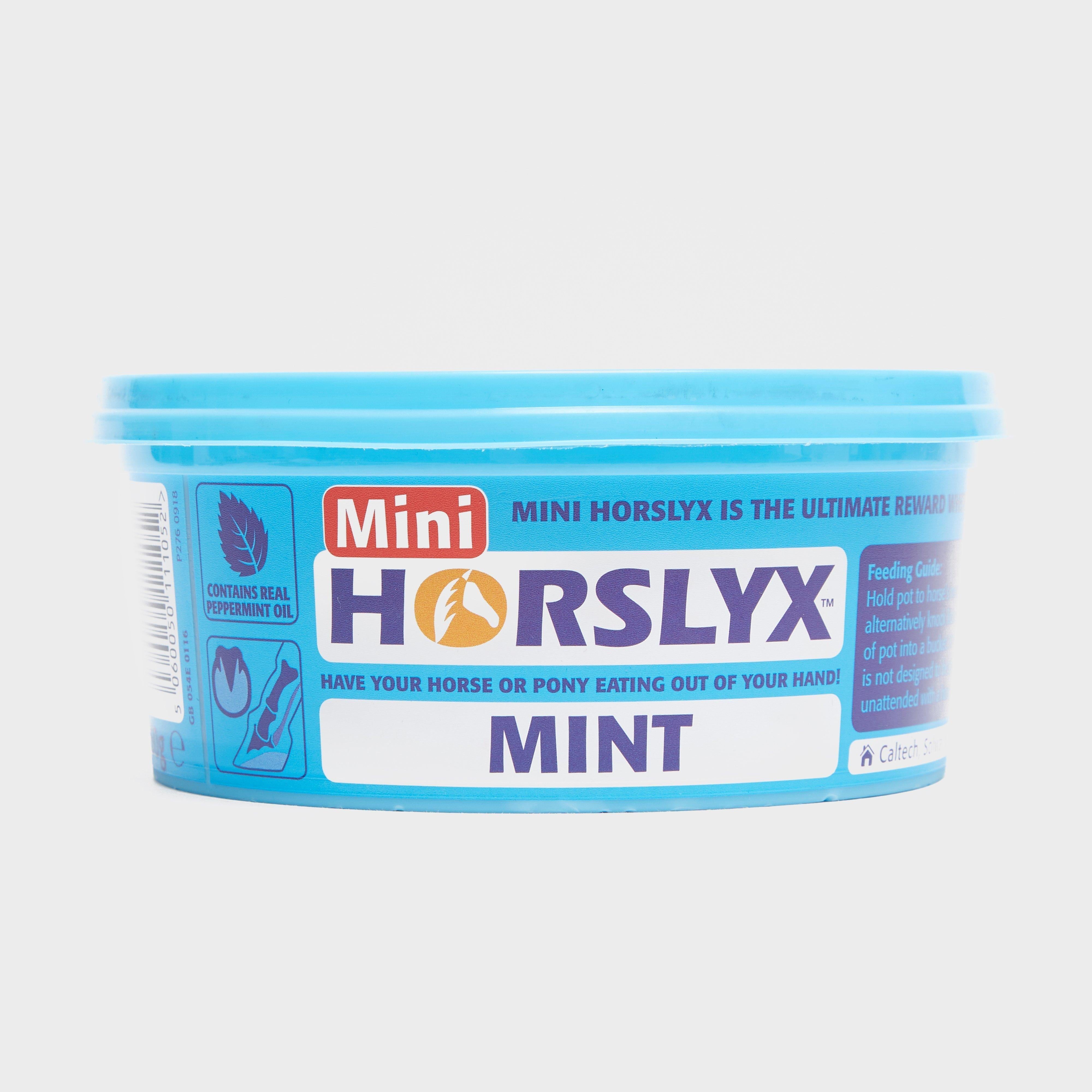 Horslyx Mini Licks (Mint)