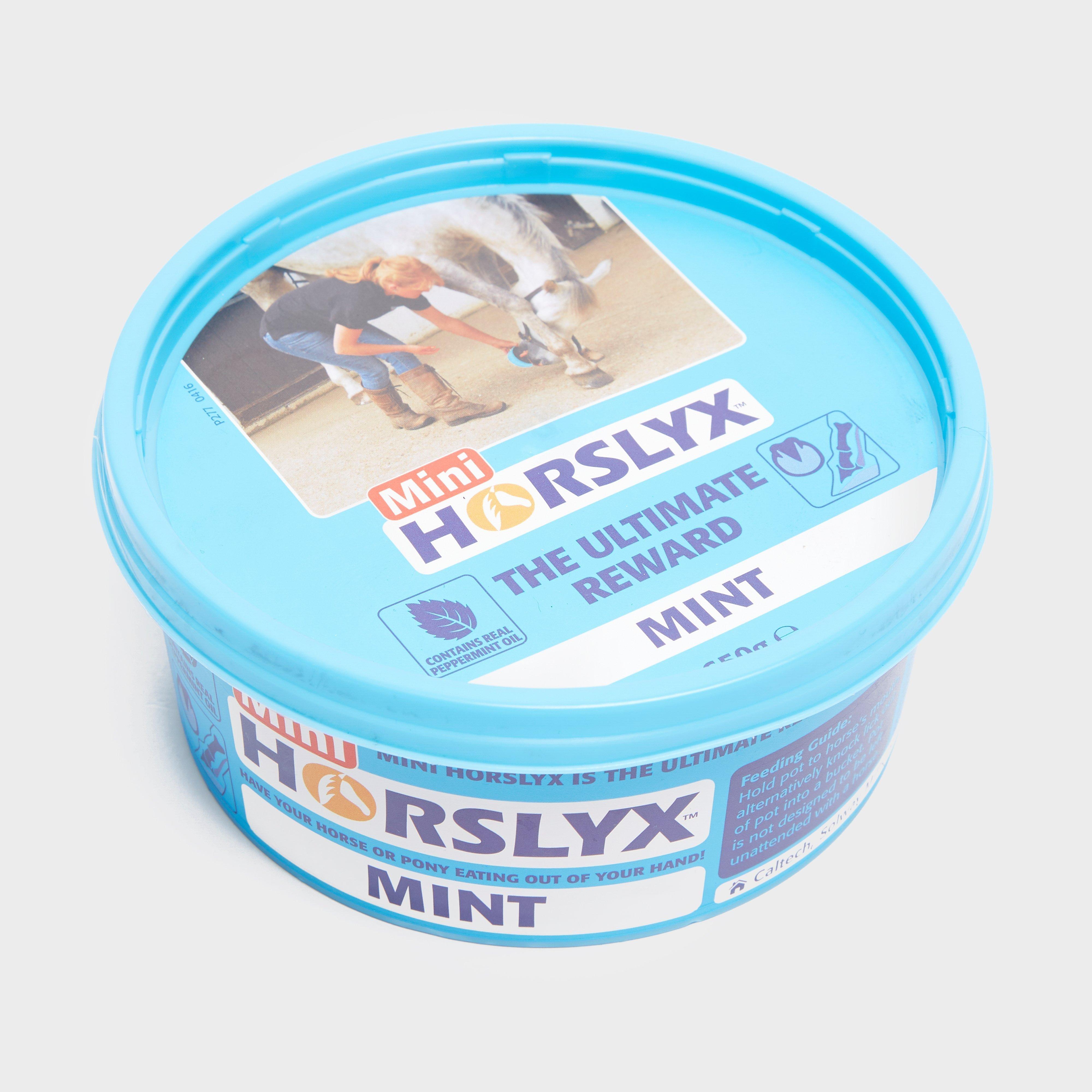 Horslyx Mini Licks (Mint)