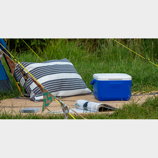 Performance 5QT Personal Cooler