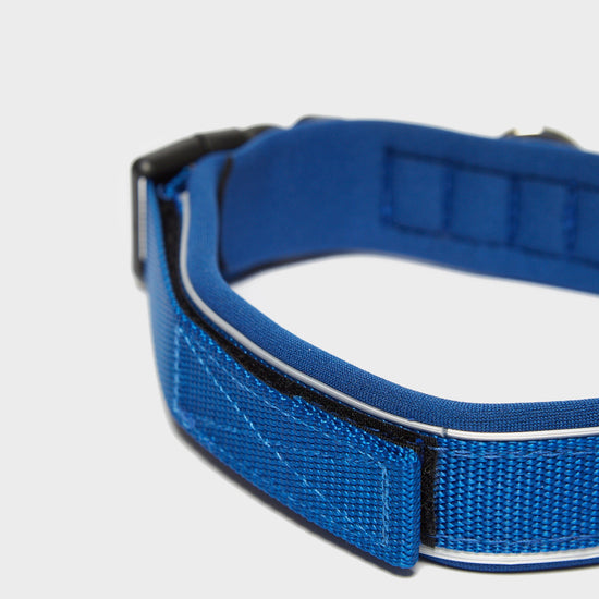 Classic Neo Dog Collar (Large)