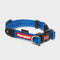 Double Up Collar Small Blue