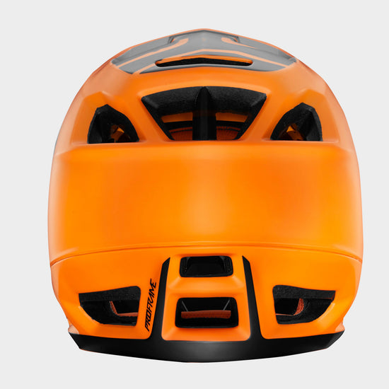 Proframe Helmet