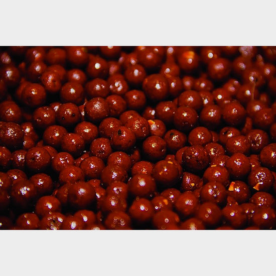 Source Shelf Life 12mm 1Kg
