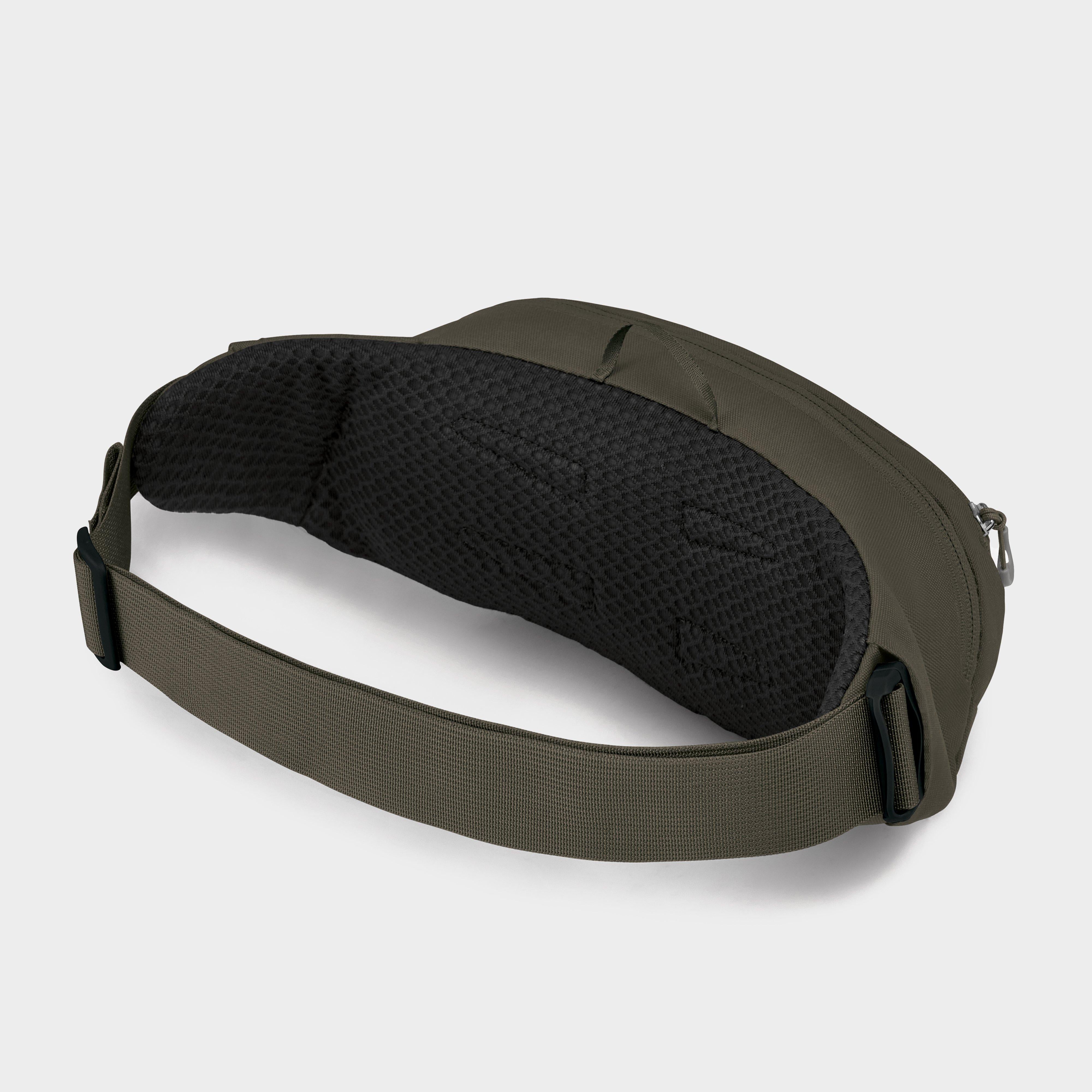 Daylite 2 Waist Pack