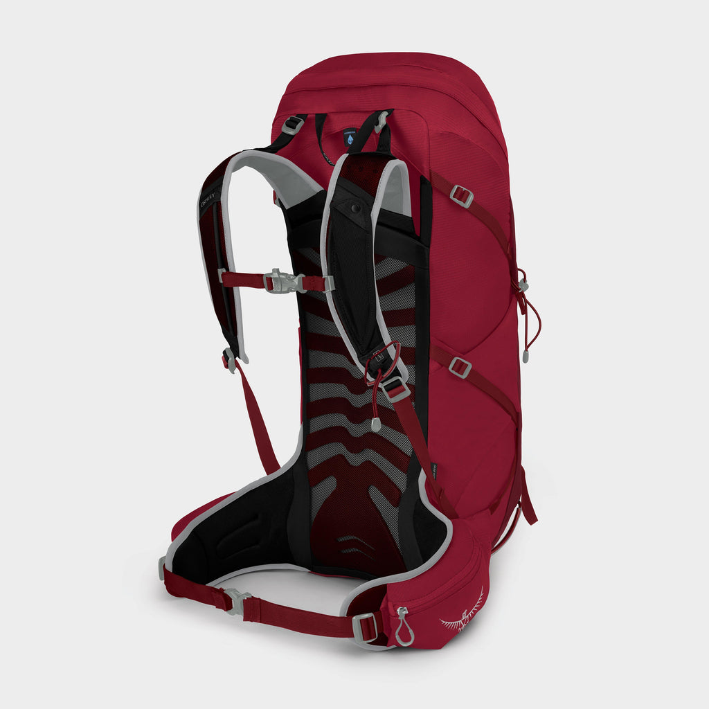 Talon 36 Daypack