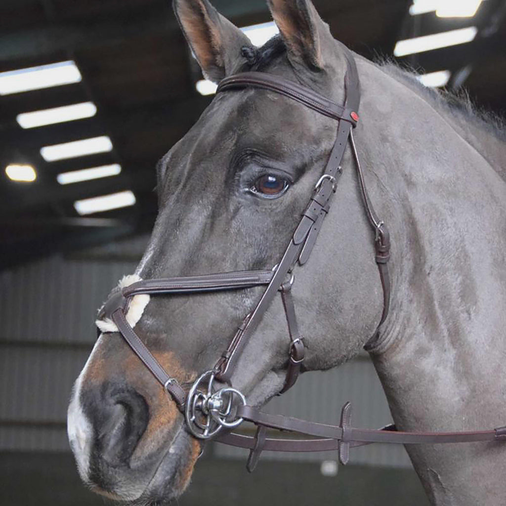 Ready-To-Ride Mexican Bridle