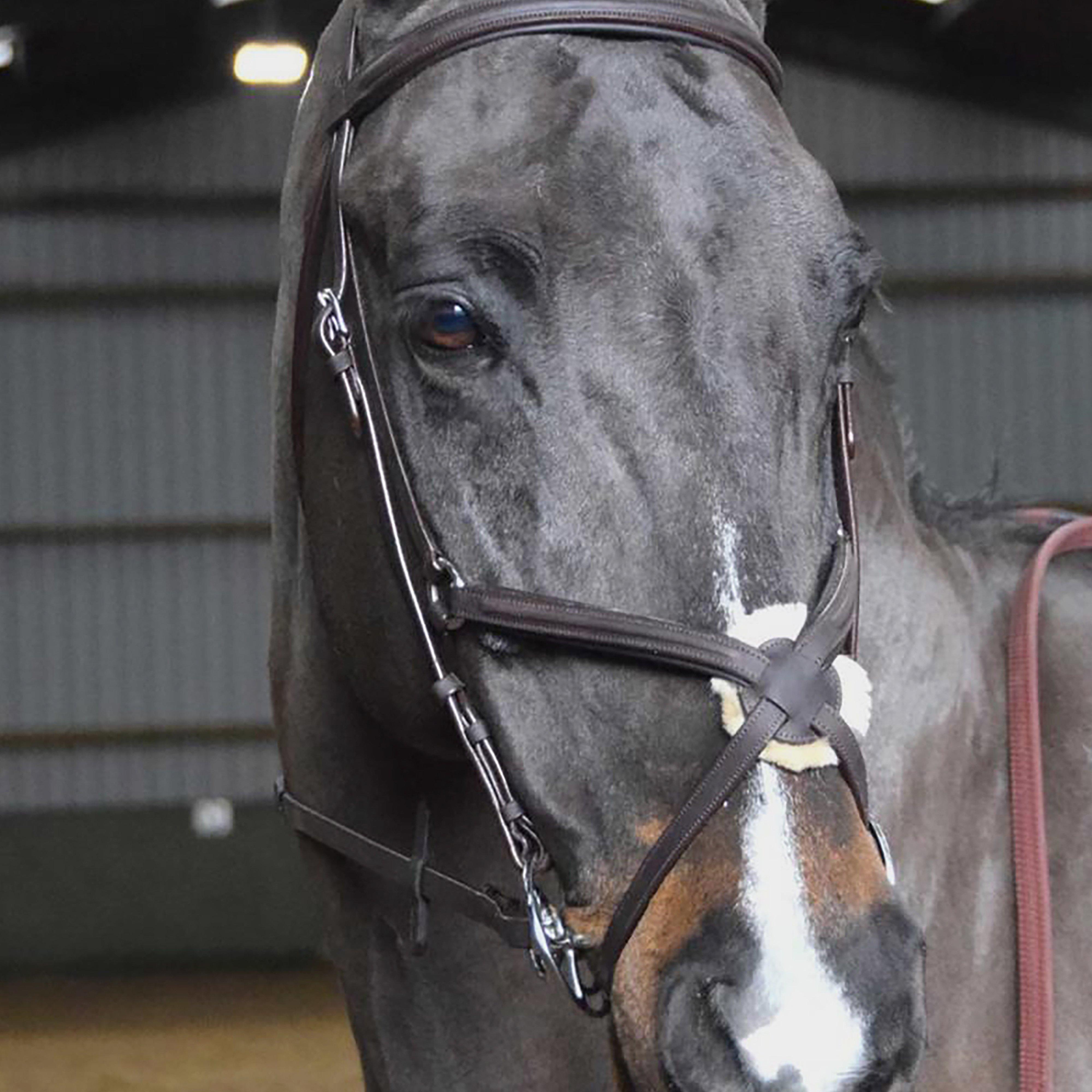 Ready-To-Ride Mexican Bridle