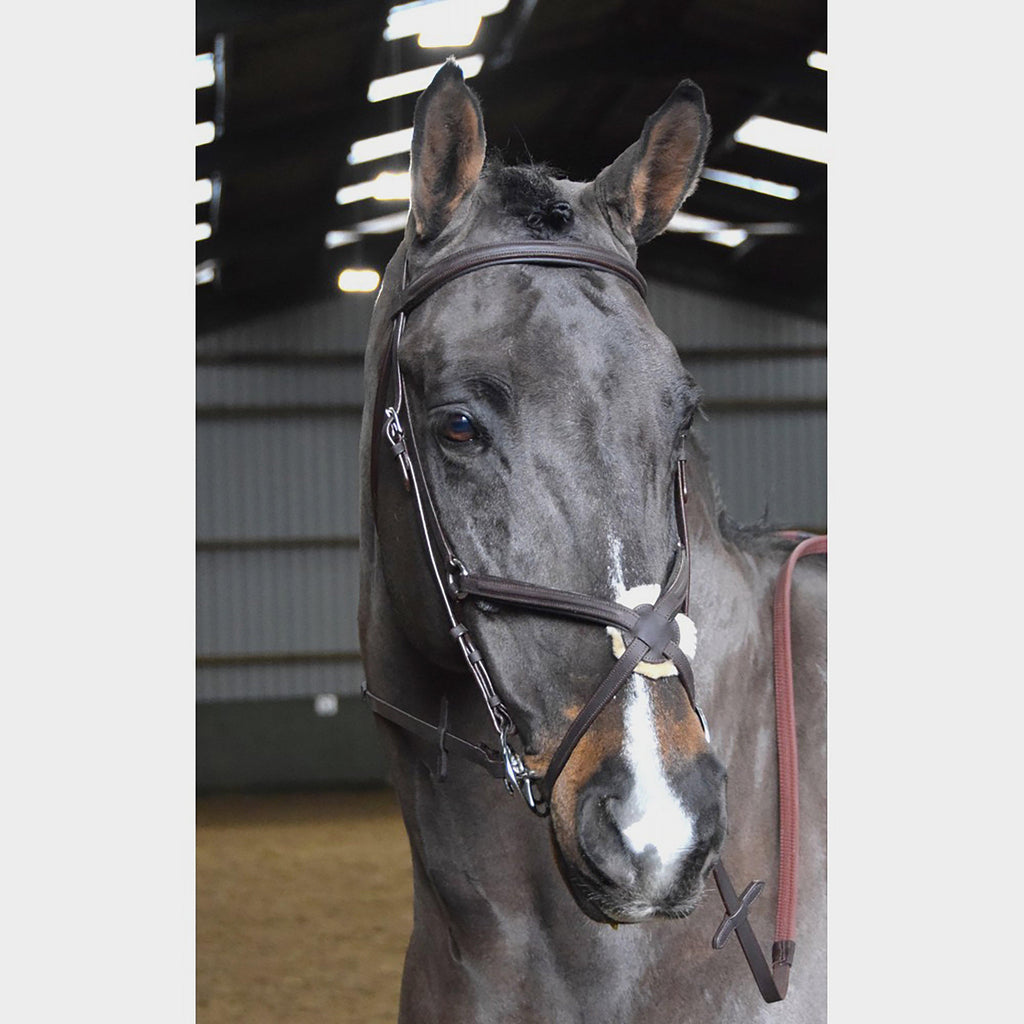 Ready-To-Ride Mexican Bridle