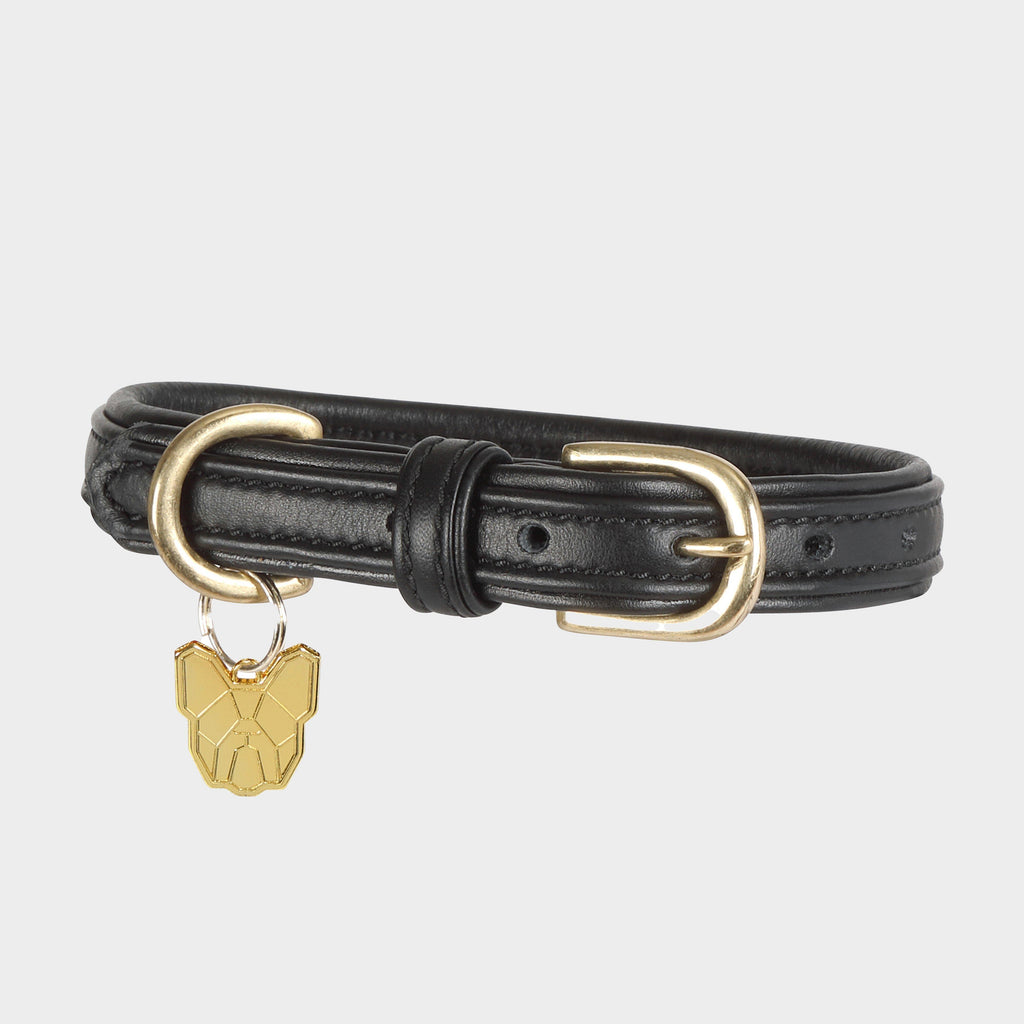 Padded Leather Dog Collar