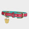 Padded Leather Dog Collar
