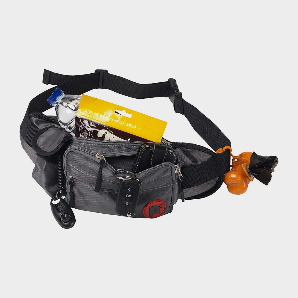 Dog Walk Bum Bag