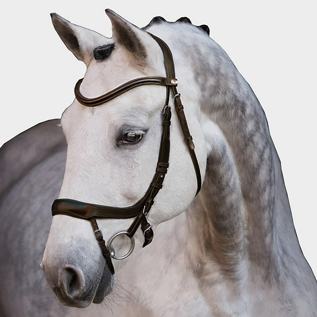 Equitus Alpha Bridle in Espresso