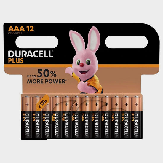 AAA Plus Batteries (4 pack)